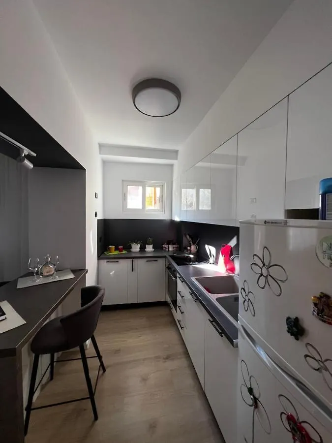 Amion Apartment In Center Of 地拉那
